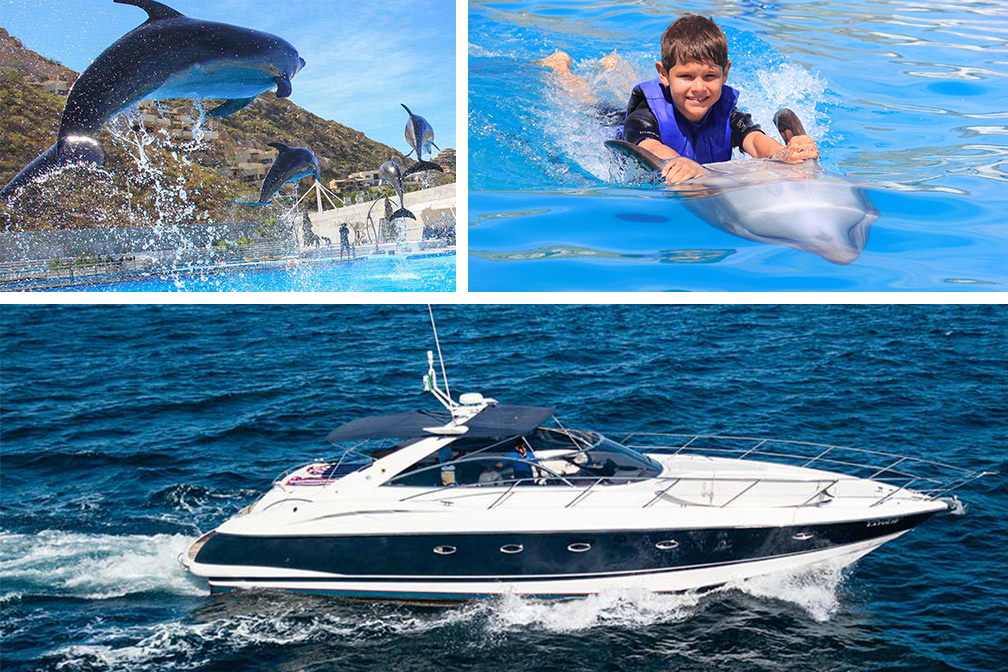 dolphin yacht tour