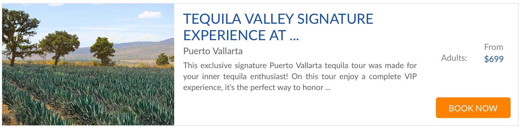 signature experience vallarta