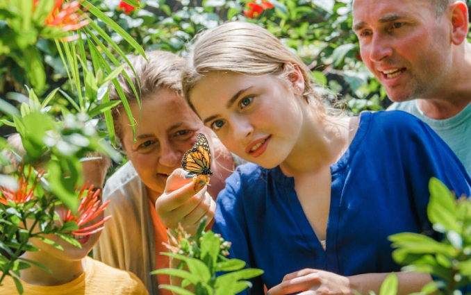 Father, mother and daughter watching a butterfly on her palm