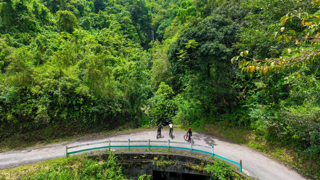 Blue Mountain Bicycle in Jamaica