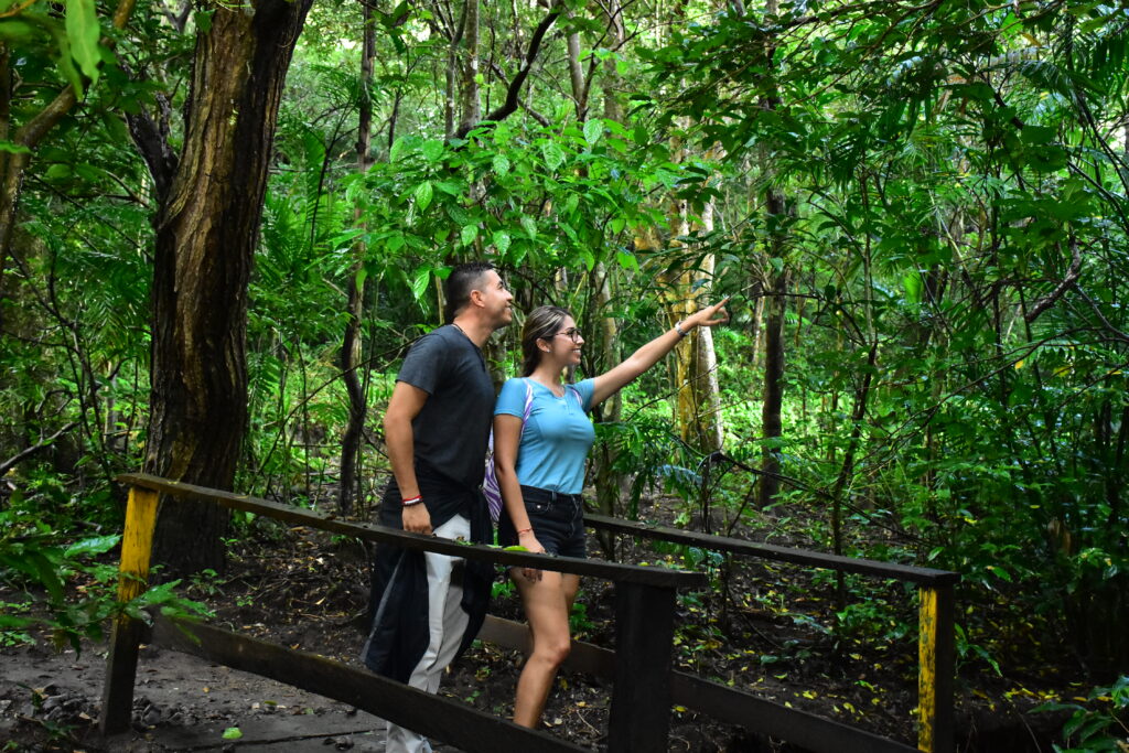 Couple strolling through a rainforest in Costa Rica