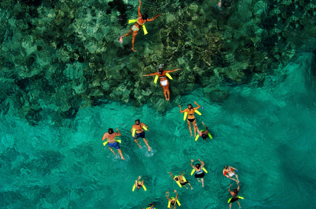 Marinarium Snorkel things to do in the Dominican Republic