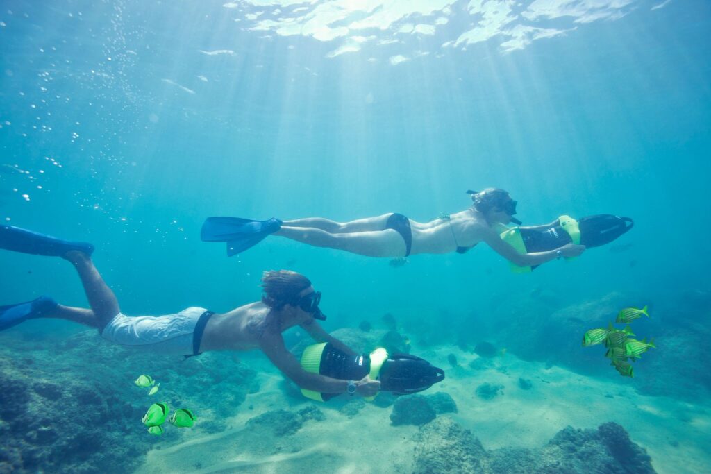 Snorkel and Sea Adventure