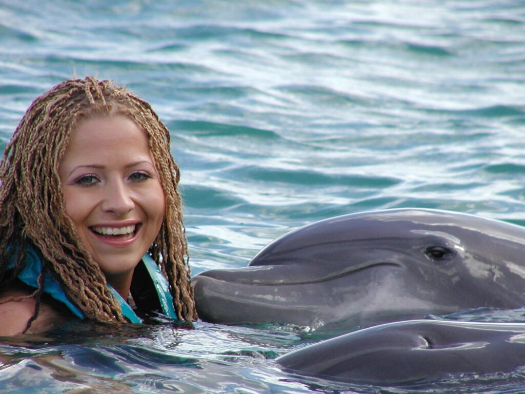 Swim with Dolphins in Montego Bay