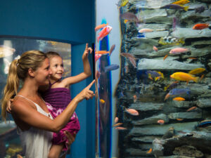 Mom with her baby watching fish in the Aquarium