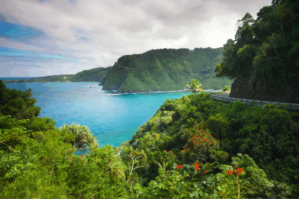 A winding road along a lush, mountainous coastline with a deep turquoise ocean.