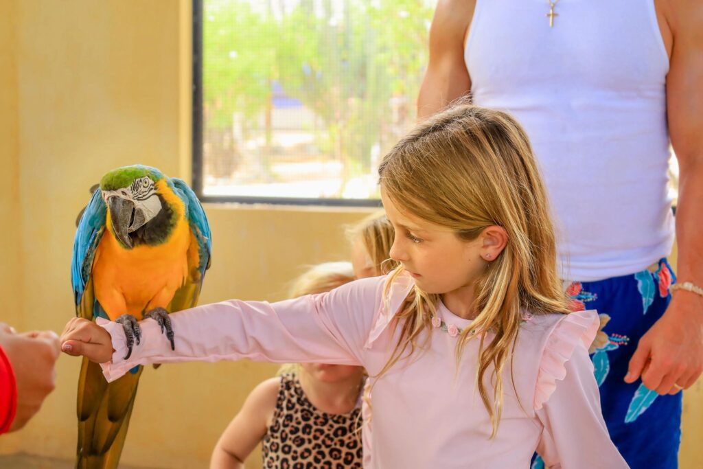 Girl interacting with macaw in a kids' activity in Los Cabos, Mexico.