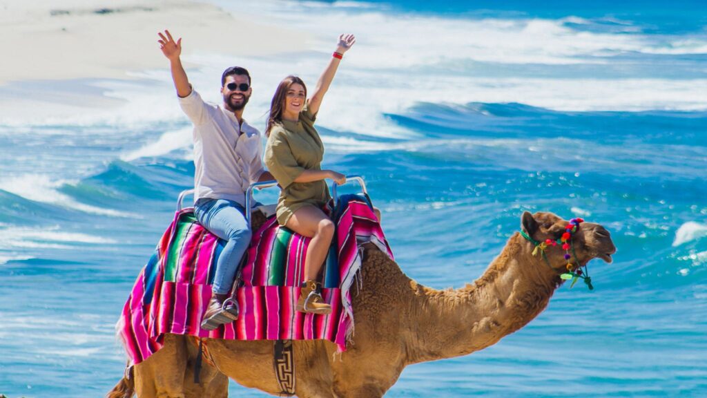 Couple enjoying a camel ride in Los Cabos