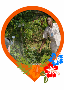 Guide explaining Jamaican culture to people