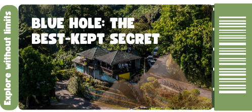 House in the middle of the Jamaican jungle