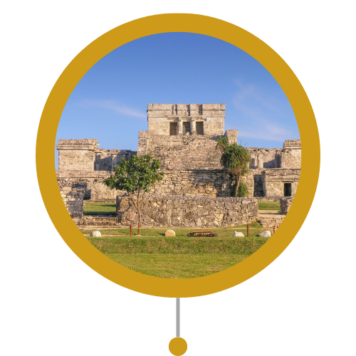 Pyramid surrounded by flora and fauna