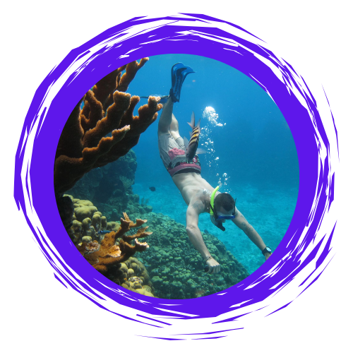 Young person diving in the reef