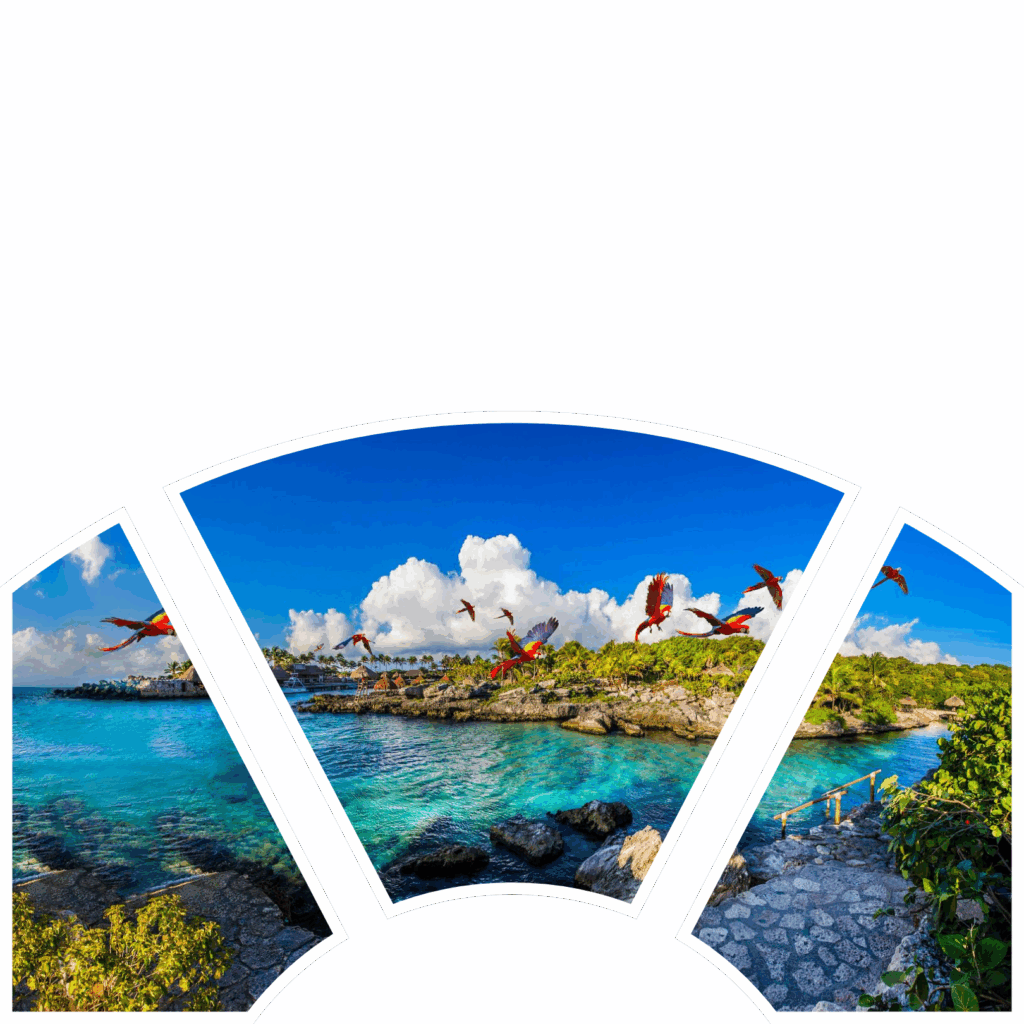 Caribbean landscape with diverse flora and fauna