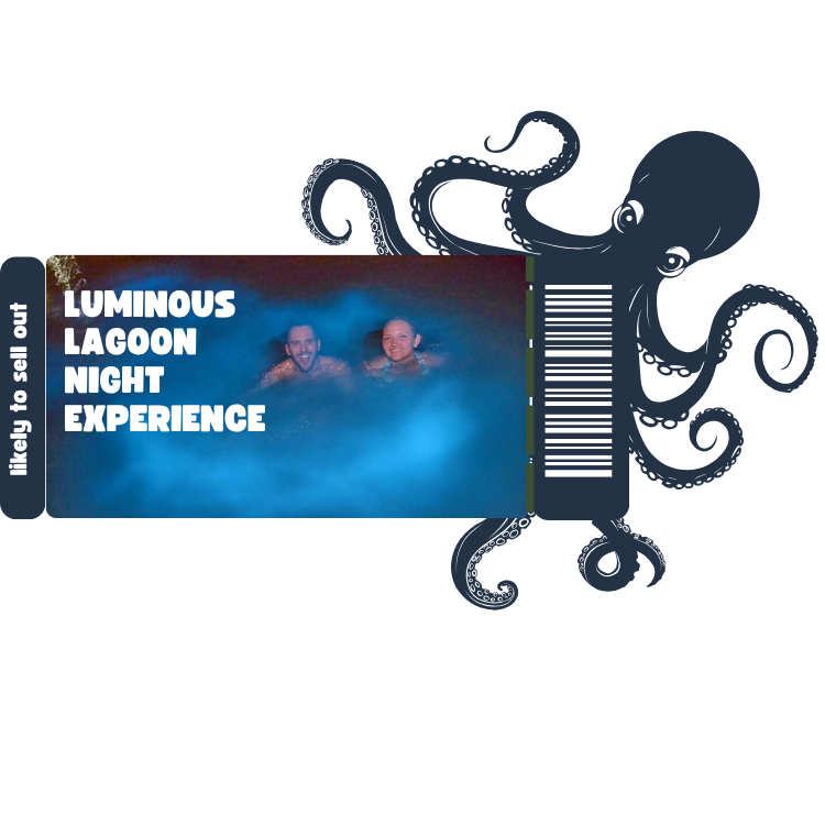 Couple enjoying the luminous lagoon.