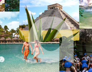 Blog feature image (19)