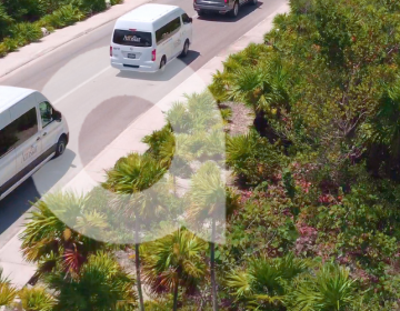 Blog feature image (20)