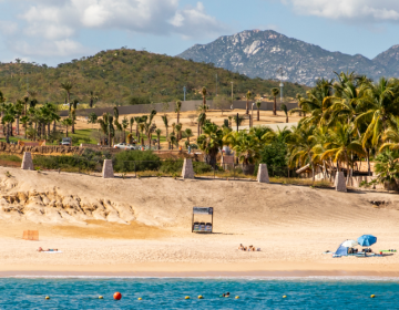 Blog feature image (5)