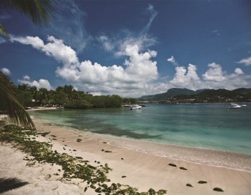 Ixtapa - Naturally Peaceful