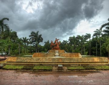 Rainy days in Riviera Maya - photo by C Strife