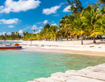 Beautiful caribbean beach on Saona island, Dominican Republic